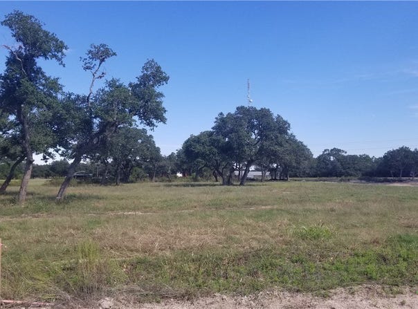 Enchanted Oaks, Inez, TX 77968