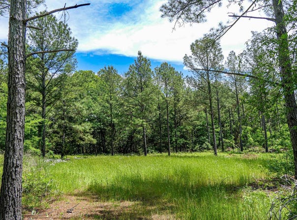 Bishop Road, Union, SC 29379
