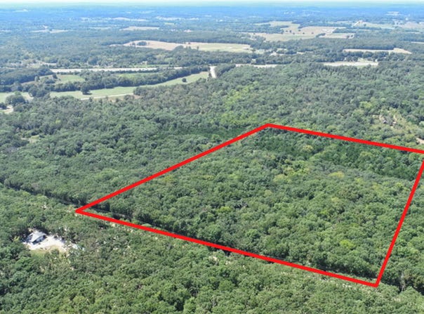 SE 871 Road, Collins, MO 64738