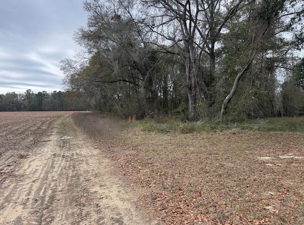 State Hwy 605, Slocomb, AL 36375