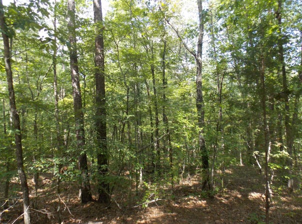 11 Doe Run, Lincolnton, GA 30817