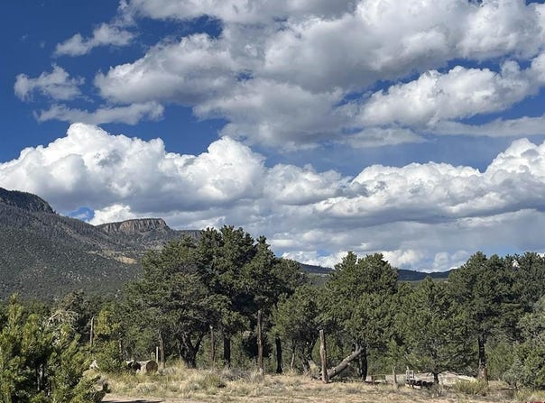 51 Winook Circle, South Fork, CO 81154