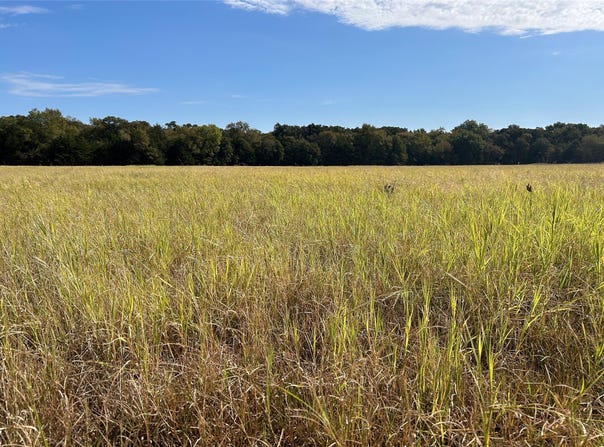 TBD8 County Road 141, Callisburg, TX 76240