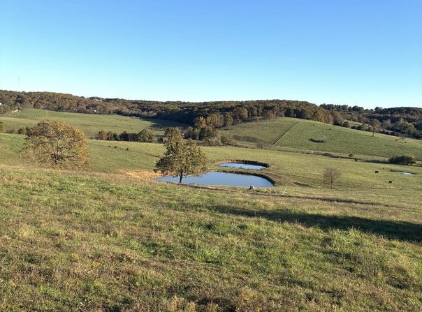 Hc 73 County Road 245, Drury, MO 65638
