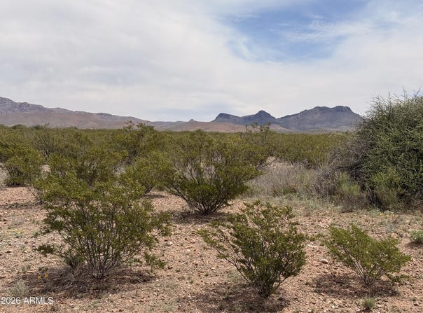 N Valladolid Drive lot: 3969, Douglas, AZ 85607