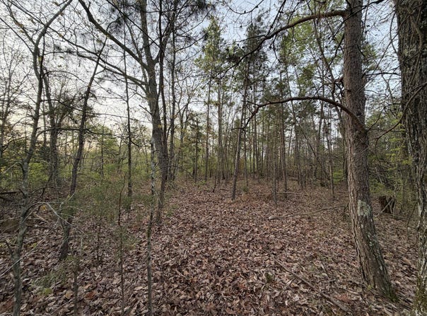 0 Salem Road, Centerville, TN 37033