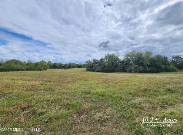 10.2 Old Memphis Oxford Road, Coldwater, MS 38618