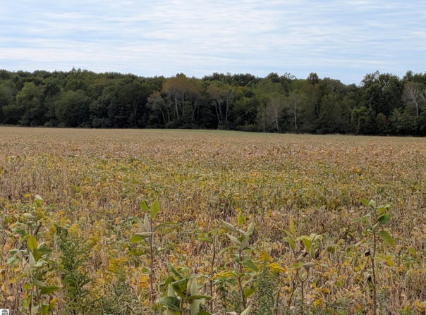6571 W Saint Charles Road, Sumner, MI 48801