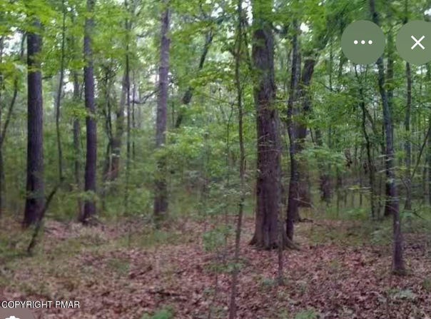 Fawn Road, Hawley, PA 18428