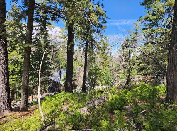 586 Rose, Twin Peaks, CA 92391