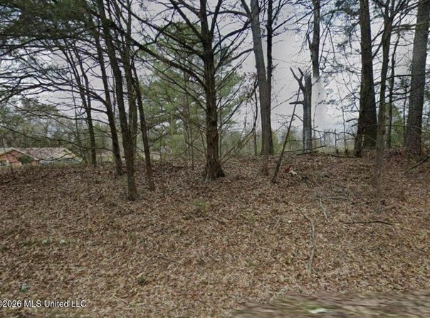 402 Robinson Road, Canton, MS 39046