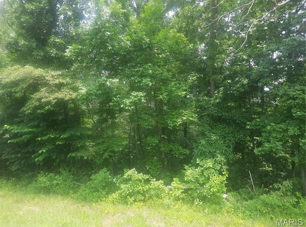 Van Buren, MO 63965