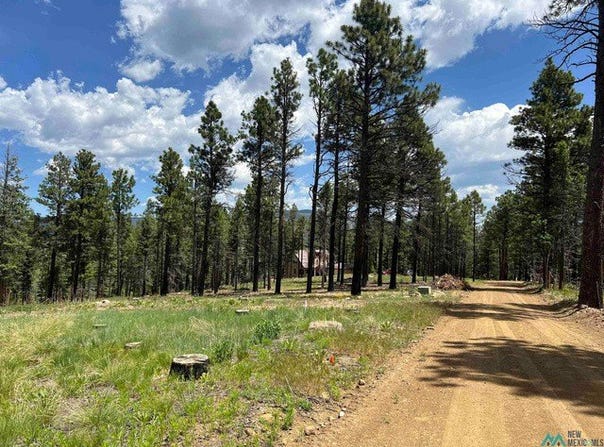 163 GOLETA Cour, Rociada, NM 87742