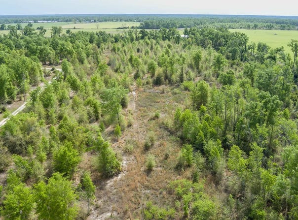 SW GRACELAND RD., Mayo, FL 32066