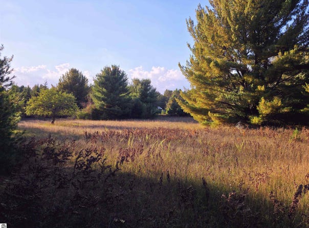 8 VL Betsie River Road, Interlochen, MI 49643