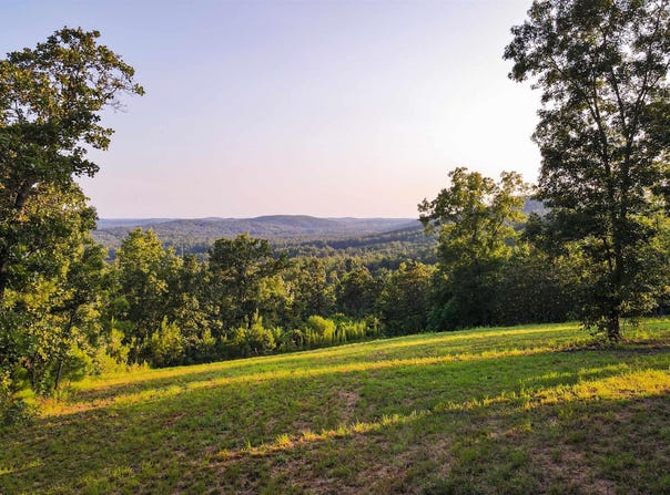 200 TABLEE LANE lot: 17.65, ASHLAND, AL 36251