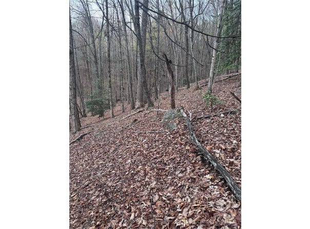 Wilkerson Court, Lake Lure, NC 28746