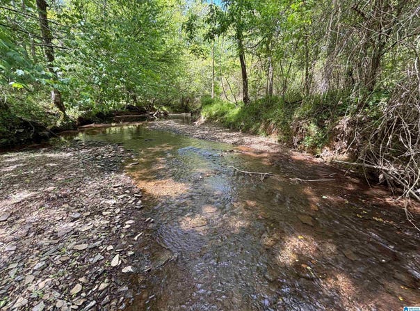 498 BLACKWOOD ROAD lot: 14.9 Acres, PARRISH, AL 35580