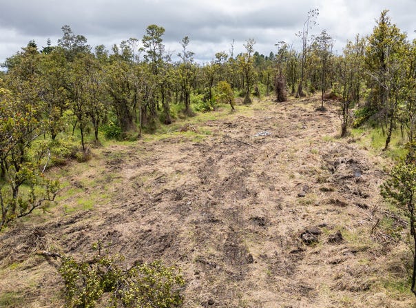 OMEKA RD, Volcano, HI 96785