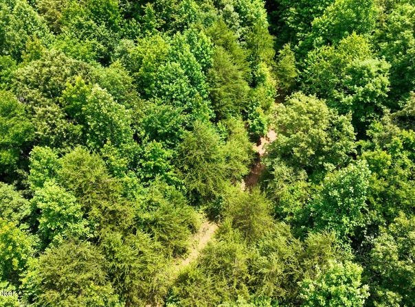2 Ditney Hill Rd, Drakesboro, KY 42337