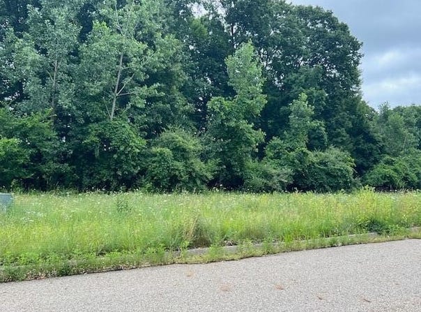 Oak Ridge Hills, Marshall, MI 49068