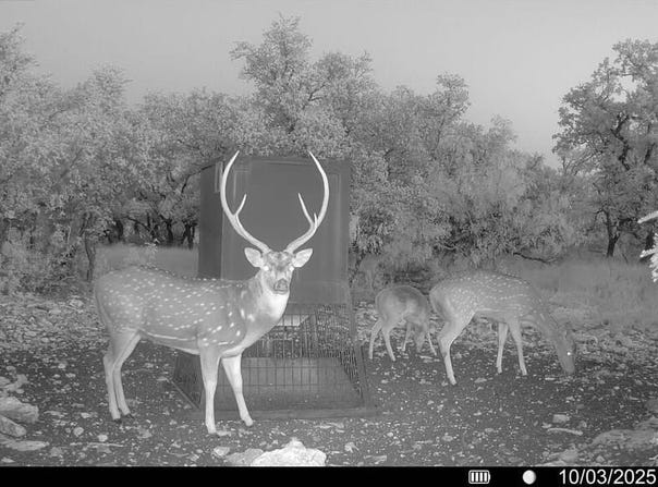 Menard, TX 76859