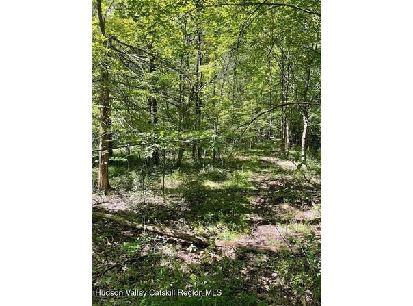 L-33 Harring Drive, Cairo, NY 12413