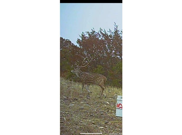 SD 45455, Rocksprings, TX 78880