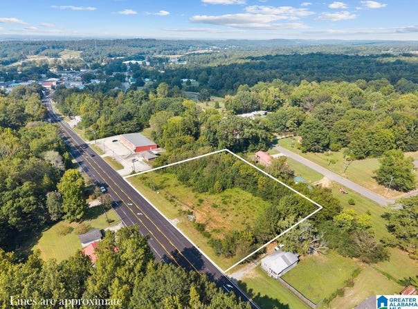 MAIN STREET lot: 2/2, BLOUNTSVILLE, AL 35031