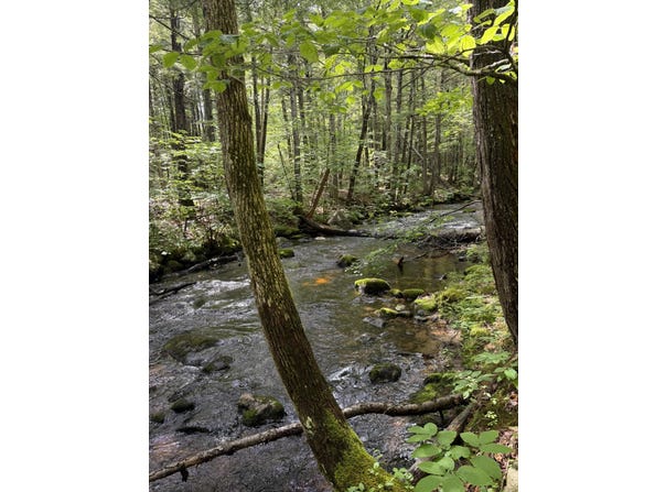 Rolfe Road lot: 44, Harrison, ME 04040