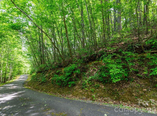 46 Widgeon Way, Whittier, NC 28789