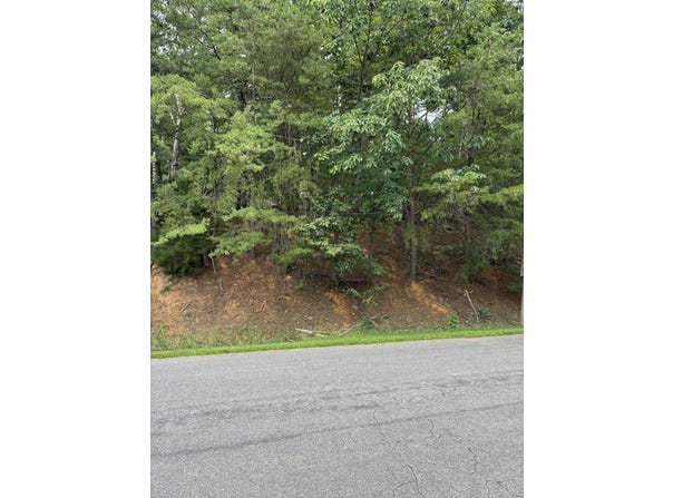 Cherokee Hills Dr, Salem, VA 24153