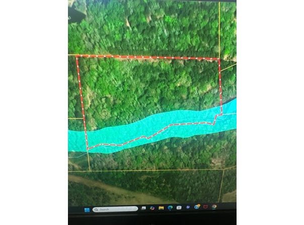 Private Road 5772, GRAPELAND, TX 75844