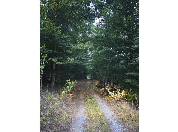 Rocky Ford Rd, Moneta, VA 24121