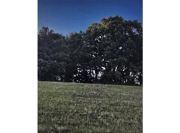W Boll Weevil Circle, Enterprise, AL 36330