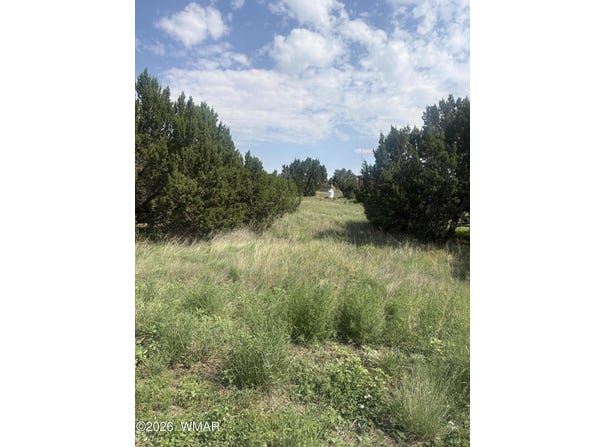 31 Commercial Drive, Concho, AZ 85924