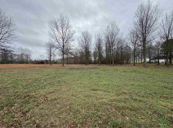 32R River Birch Drive, Guy, AR 72061