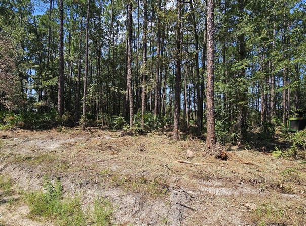 323 Baker Creek Road, Nahunta, GA 31553
