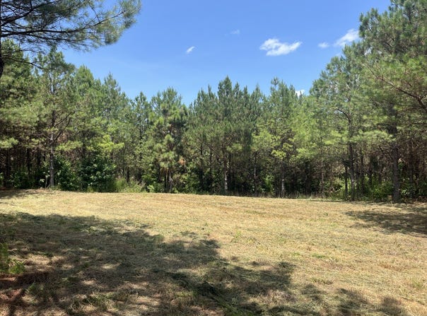 Corbett Road, Winfield, AL 35594