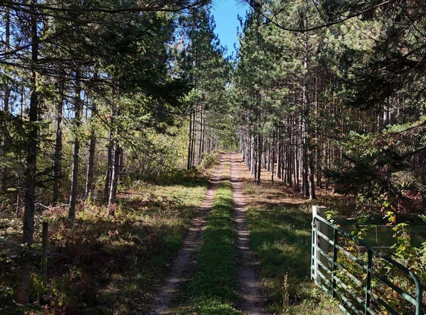 TBD BB Mann Road, Spooner, WI 54801