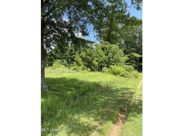 Way Road, Canton, MS 39046