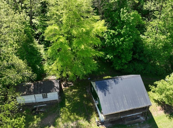 8261 Glendale Rd, Cairo, WV 26337