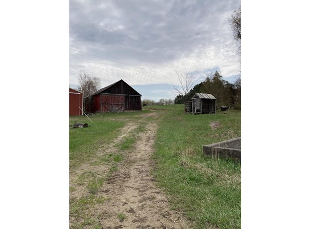 6853 N 7 Rd, Mesick, MI 49668