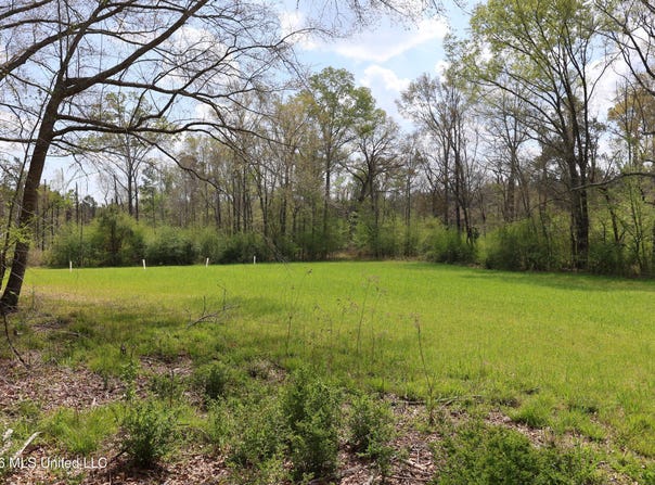 3194 James Road, Hazlehurst, MS 39083