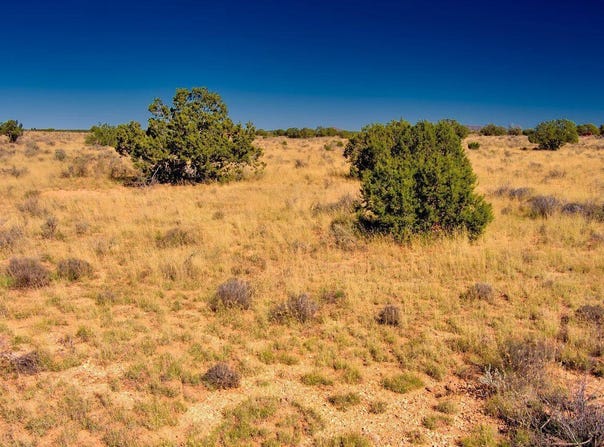 3196 Laurence Drive, Williams, AZ 86046