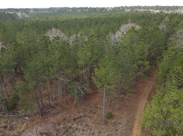 Lapile Road, Strong, AR 71765