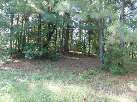 509 Eagle Estates, Hemphill, TX 75948