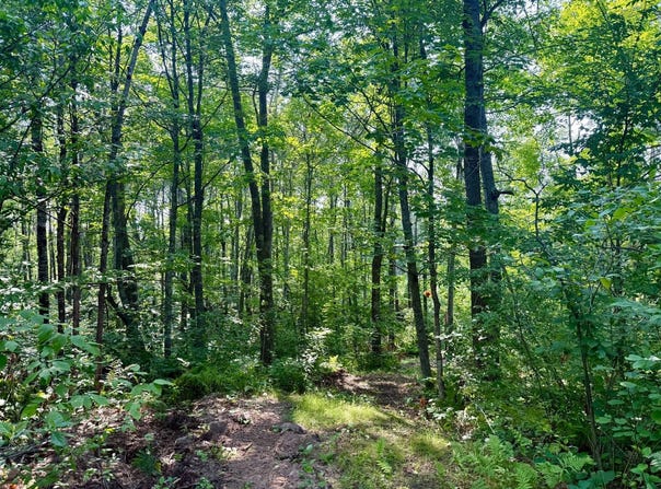 2 County Road T, Danbury, WI 54830