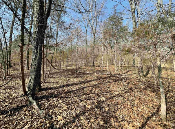 Peace Mountain Road, Mountain View, AR 72560