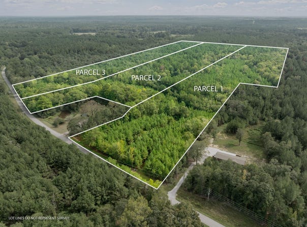 Davis Rd, Purvis, MS 39475